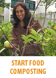 Tips - Start Food Composting